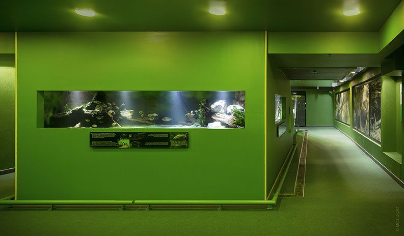 Aquariums