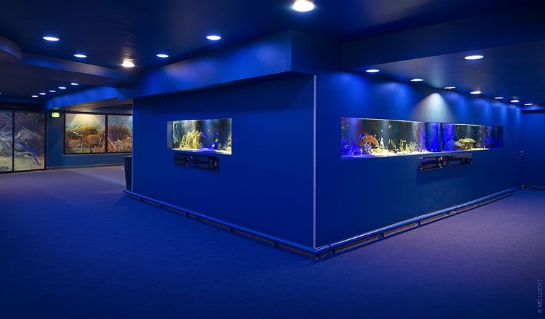 Aquariums